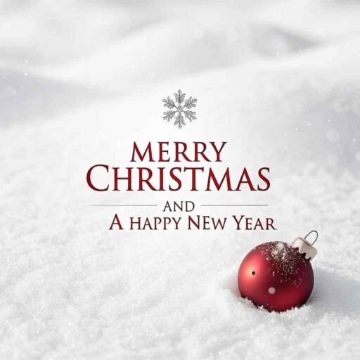 A simple "merry christmas and a happy new year pic" with bold red text on a minimalist snowy design.