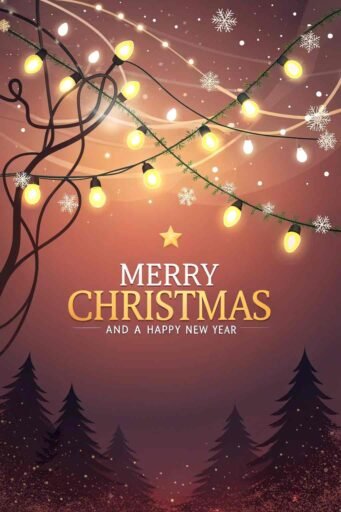 A picture of merry christmas and happy new year with glowing string lights. "Merry Christmas and A Happy New Year" is prominently displayed.