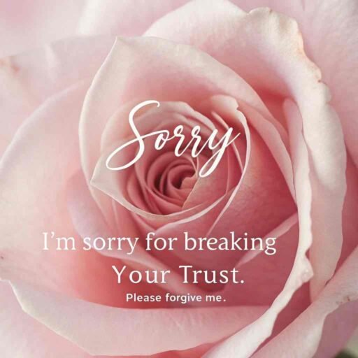A touching "gf sorry image" symbolizing regret, love, and the hope of restoring trust.