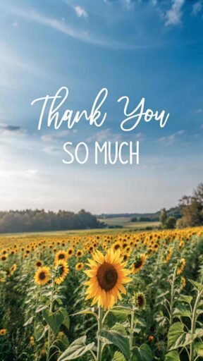 Bright and cheerful, this thank you so much image captures the warmth of sunflowers to express sincere gratitude.