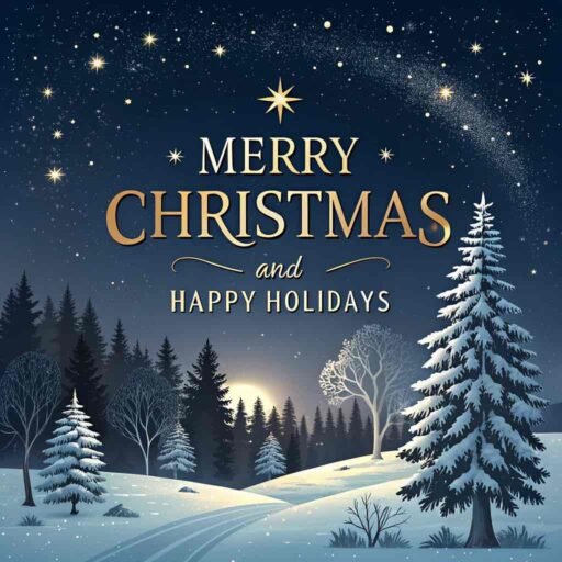 A serene "merry christmas and happy holidays image" featuring a peaceful winter night and clear holiday text.